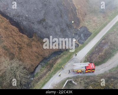 Cork, Irland, 31.. März 2022. Die Feuerwehr der Stadt Cork beschäftigt sich mit einem großen Gorse-Feuer in der Nähe von Häusern im Glen Park, Cork, Irland. Luftbild von Mitgliedern der Feuerwehr der Stadt Cork, die sich mit einem weiteren großen Gorse-Feuer in der Nähe von Häusern im Glen River Park, der zwischen Glen und Ballyvolane verläuft, befassen. Kurz nach 6 Uhr an diesem Abend besuchte die Feuerwehr der Stadt Cork die Szene eines großen Gorse-Feuers in der Nähe von Häusern im Glen River Park, der Rauch dieses Feuers blies direkt in die Häuser in der Gegend von Glen oberhalb des Glen Parks. Eine Reihe von Feuerwehrleuten war zu sehen Stockfoto