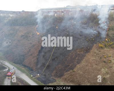 Cork, Irland, 31.. März 2022. Die Feuerwehr der Stadt Cork beschäftigt sich mit einem großen Gorse-Feuer in der Nähe von Häusern im Glen Park, Cork, Irland. Luftbild von Mitgliedern der Feuerwehr der Stadt Cork, die sich mit einem weiteren großen Gorse-Feuer in der Nähe von Häusern im Glen River Park, der zwischen Glen und Ballyvolane verläuft, befassen. Kurz nach 6 Uhr an diesem Abend besuchte die Feuerwehr der Stadt Cork die Szene eines großen Gorse-Feuers in der Nähe von Häusern im Glen River Park, der Rauch dieses Feuers blies direkt in die Häuser in der Gegend von Glen oberhalb des Glen Parks. Eine Reihe von Feuerwehrleuten war zu sehen Stockfoto