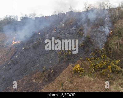 Cork, Irland, 31.. März 2022. Die Feuerwehr der Stadt Cork beschäftigt sich mit einem großen Gorse-Feuer in der Nähe von Häusern im Glen Park, Cork, Irland. Luftbild von Mitgliedern der Feuerwehr der Stadt Cork, die sich mit einem weiteren großen Gorse-Feuer in der Nähe von Häusern im Glen River Park, der zwischen Glen und Ballyvolane verläuft, befassen. Kurz nach 6 Uhr an diesem Abend besuchte die Feuerwehr der Stadt Cork die Szene eines großen Gorse-Feuers in der Nähe von Häusern im Glen River Park, der Rauch dieses Feuers blies direkt in die Häuser in der Gegend von Glen oberhalb des Glen Parks. Eine Reihe von Feuerwehrleuten war zu sehen Stockfoto