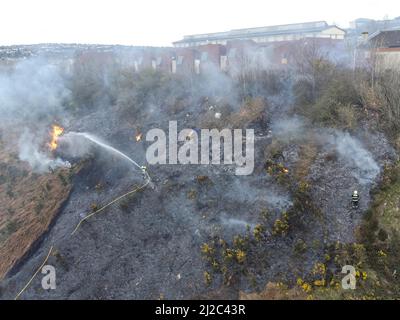 Cork, Irland, 31.. März 2022. Die Feuerwehr der Stadt Cork beschäftigt sich mit einem großen Gorse-Feuer in der Nähe von Häusern im Glen Park, Cork, Irland. Luftbild von Mitgliedern der Feuerwehr der Stadt Cork, die sich mit einem weiteren großen Gorse-Feuer in der Nähe von Häusern im Glen River Park, der zwischen Glen und Ballyvolane verläuft, befassen. Kurz nach 6 Uhr an diesem Abend besuchte die Feuerwehr der Stadt Cork die Szene eines großen Gorse-Feuers in der Nähe von Häusern im Glen River Park, der Rauch dieses Feuers blies direkt in die Häuser in der Gegend von Glen oberhalb des Glen Parks. Eine Reihe von Feuerwehrleuten war zu sehen Stockfoto