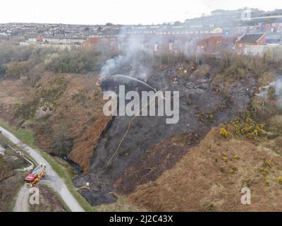 Cork, Irland, 31.. März 2022. Die Feuerwehr der Stadt Cork beschäftigt sich mit einem großen Gorse-Feuer in der Nähe von Häusern im Glen Park, Cork, Irland. Luftbild von Mitgliedern der Feuerwehr der Stadt Cork, die sich mit einem weiteren großen Gorse-Feuer in der Nähe von Häusern im Glen River Park, der zwischen Glen und Ballyvolane verläuft, befassen. Kurz nach 6 Uhr an diesem Abend besuchte die Feuerwehr der Stadt Cork die Szene eines großen Gorse-Feuers in der Nähe von Häusern im Glen River Park, der Rauch dieses Feuers blies direkt in die Häuser in der Gegend von Glen oberhalb des Glen Parks. Eine Reihe von Feuerwehrleuten war zu sehen Stockfoto