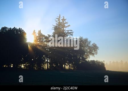 An einem nebligen Morgen auf dem Bauernhof durchschneiden die Sonnenstrahlen die Bäume Stockfoto
