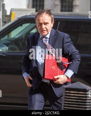 London, England, Großbritannien. 31. März 2022. Der Minister für Umwelt, Ernährung und Angelegenheiten des ländlichen Raums, GEORGE EUSTICE, wird vor dem Kabinett gesehen. (Bild: © Tayfun Salci/ZUMA Press Wire) Stockfoto