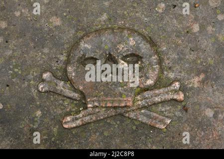 Schädel und Knochen in einem der Gräber auf dem Russischen Friedhof neben der Russischen Kapelle von Alexandra Pavlovna in Üröm bei Budapest, Ungarn. Stockfoto