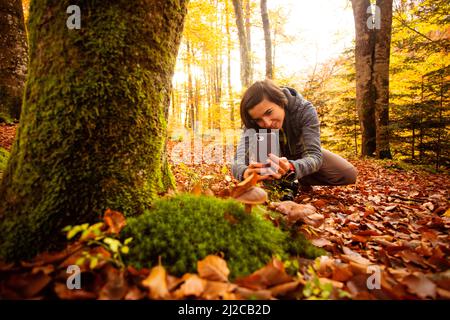 Frau im Wald fotografiert ein Pilz-Usinag-Smartphone. Naturparkspaziergang, Fotografie als Hobby. Stockfoto