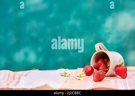 Erdbeeren in einem Reisetasse aus Metall-Aluminium, grüner Hintergrund. Cottagecore Ästhetik Konzept, trendige Schatten Hintergrund. Speicherplatz kopieren. Hochwertige Fotos Stockfoto