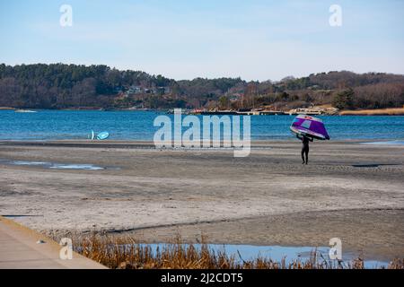 Person, die auf einem Strand geht und sich auf die Flügel vorbereitet Stockfoto