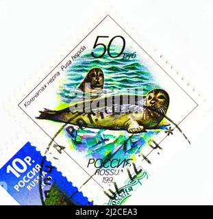 MOSKAU, RUSSLAND - 13. MÄRZ 2022: Die in Russland gedruckte Briefmarke zeigt Ringelrobbe (Pusa hispida), Marine Fauna of the Pacific Region Serie, um 199 Stockfoto