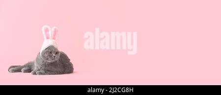 Niedliche Katze mit Hasenohren auf rosa Hintergrund mit Platz für Text. Osterfest Stockfoto