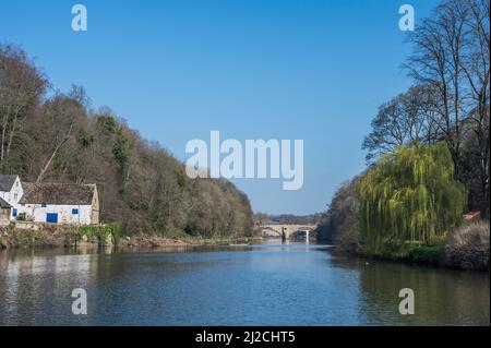 Farbenfrohe Szenen auf dem River Wear in der historischen Stadt Durham, die hier mit Blick auf das Bootshaus der Durham Boys School gezeigt werden Stockfoto