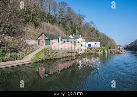 Farbenfrohe Szenen auf dem River Wear in der historischen Stadt Durham, die hier mit Blick auf das Bootshaus der Durham Boys School gezeigt werden Stockfoto