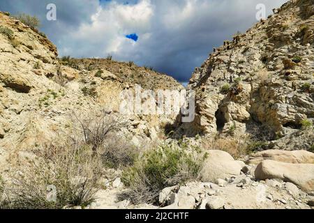 Der Moonlight Canyon in den trockenen Bergen der Wüste des Agua Caliente County Park, Anza-Borrego, Kalifornien, USA Stockfoto