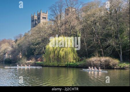 Farbenfrohe Szenen auf dem River Wear, mit Durham Ladies Rowing Club, der den Fluss mit Blick auf Durhams berühmte Kathedralentürme genießt Stockfoto