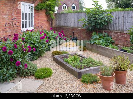 Englischer Hüttengarten mit Kies, UK. York Steinpflaster und Eichenschläfer erhöhte Betten Stockfoto