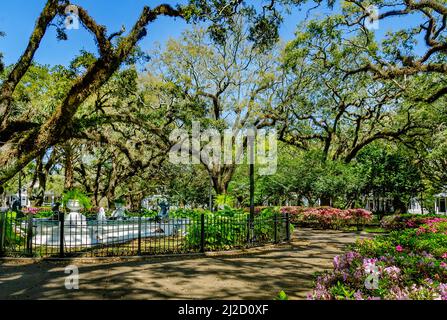 Lebende Eichen, Azaleen und andere Pflanzen umgeben den Brunnen am Washington Square, 26. März 2022, in Mobile, Alabama. Stockfoto