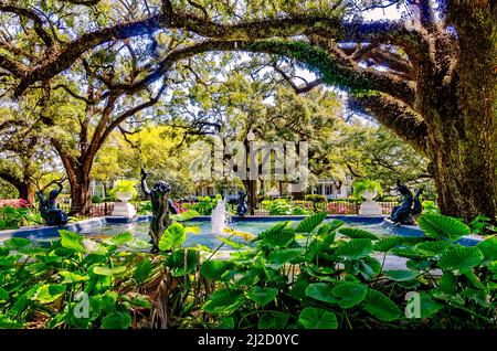 Lebende Eichen, Azaleen und andere Pflanzen umgeben den Brunnen am Washington Square, 26. März 2022, in Mobile, Alabama. Stockfoto