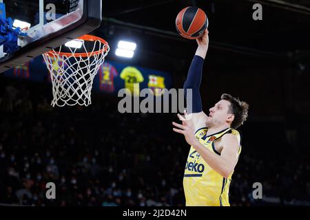 BARCELONA - MÄR 25: Jan Vesely in Aktion während des Euroleague-Spiels von Turkish Airlines zwischen dem FC Barcelona und Fenerbahce SK Istambul im Palau Bla Stockfoto