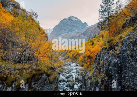 Felsige Berge und herbstliche Herbstbäume. Hochgebirgslandschaft mit Fluss in Canyon Stockfoto
