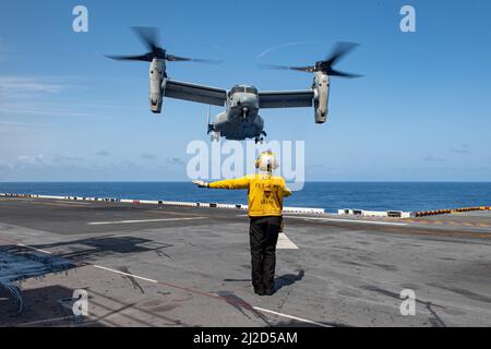 PHILIPPINISCHE SEE (14. März 2022) Aviation Boatswain’s Mate (Handling) 2. Klasse Robert Wynn aus Apopka, Florida, der dem nach vorne eingesetzten amphibischen Sturmschiff USS America (LHA 6) zugewiesen wurde, signalisiert von der Marine Expeditionary Unit (MEU) 31. ein Tiltrotor-Flugzeug MV-22B Osprey, das auf dem Flugdeck des Schiffes landen soll. Amerika, das führende Schiff der America Amphibious Ready Group, arbeitet zusammen mit der 31. MEU im Verantwortungsbereich der US-Flotte von 7., um die Interoperabilität mit Verbündeten und Partnern zu verbessern und als einsatzbereite Einsatztruppe für den Frieden und die Stabilität in der Indo-Pazifik-Region zu dienen Stockfoto