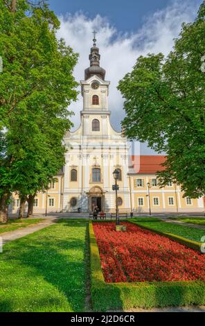 Bjelovar Kathedrale von Teresa von Avila Blick vom zentralen Park Stockfoto