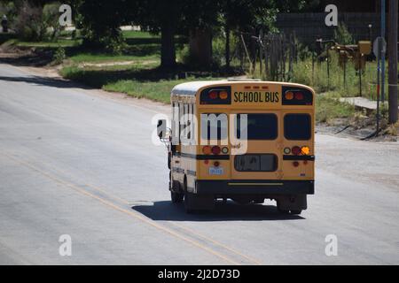 Kurzer gelber Schulbus, der eine Straße in Rule Texas entlang fährt - August 2021 Stockfoto