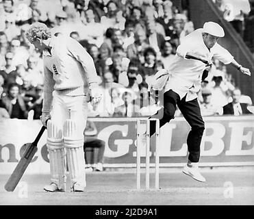 England gegen Australien Viertes Testspiel in Old Trafford, Manchester für die Asche.Testschiedsrichter Harold Dickie Bird springt in der Luft hinter dem englischen Schlagmann David Gower. 3.. August 1985.