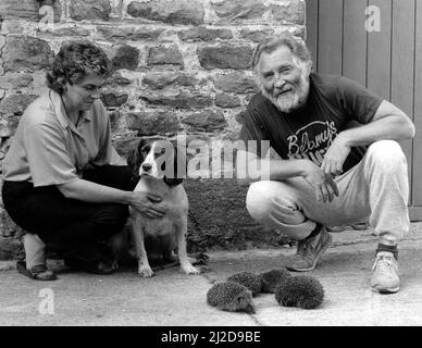 TV-Naturforscher David Bellamy (rechts) mit Judith Foster und ihrem Hund Lady am 30.. September 1986. David hatte Schwierigkeiten, Igel für seine Fernsehsendung „Bellamys Bugle“ zu finden, aber Lady kam zu Hilfe, nachdem sie einige aus den nahe gelegenen Wäldern ausgeplündert hatte. Stockfoto