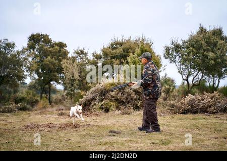 Männlicher Jäger in Tarnbekleidung und Mütze mit einer Waffe, die mit einem weißen Hund auf dem Feld läuft Stockfoto