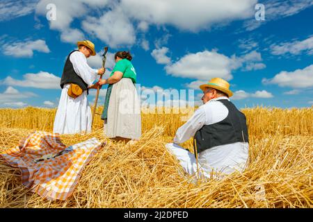 Muzlja, Vojvodina, Serbien, - 03. Juli 2021; XXXVIII traditionell Weizenernte. Mann und Frau binden die Sense mit einem Seil, bereiten sie für die Ernte vor Stockfoto