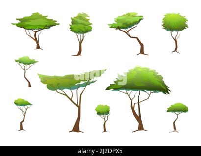 Akazienbäume gesetzt. Afrika Savanne Pflanzen. Afrikanische Landschaft. Isoliert auf weißem Hintergrund. Vektor. Stock Vektor