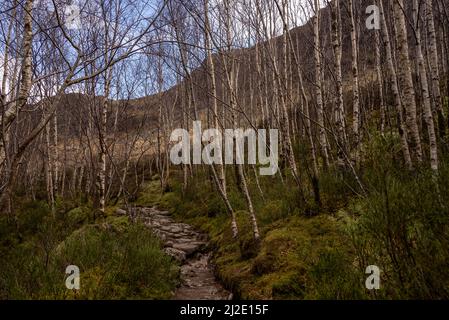 Glencoe, Großbritannien. 31. März 2022. Versuche, die in das Hidden Valley führen, versteckt zwischen den berühmten Beinn Fhada, Gearr Aonach und Aonach Dubh, gemeinsam bekannt als die ÔThree SistersÕ in den schottischen Highlands 31. März 2022 in der Nähe von Glencoe, Schottland. Foto von Ken Cedeno/Sipa USA Credit: SIPA USA/Alamy Live News Stockfoto