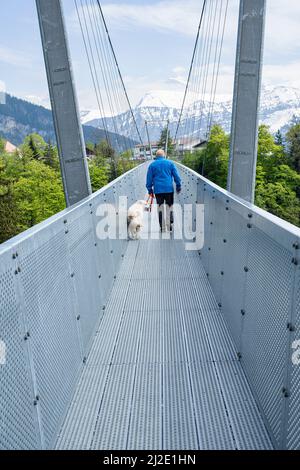 Eisenfußbrücke, bei Sigriswil, Kanton Bern, Schweiz Stockfoto