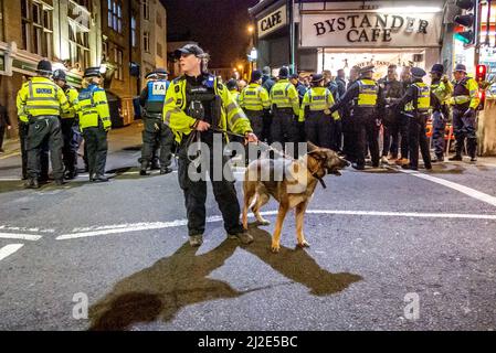 Brighton, 25. 2017. Februar: Ein Hundeführer der Polizei auf den Straßen von Brighton Stockfoto