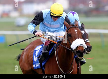 Datei-Foto vom 18-04-2021 von Milkwood, das von Sam Twiston-Davies auf dem Weg zum Sieg der Hürde des schottischen Korallenmeisters während des Grand National Day von Coral Scottish auf der Ayr Racecourse gefahren wurde. Neil Mulholland hofft, dass Milkwood Ayr wieder angreifen und seinen Titel in der Hürde des schottischen Korallenchampions behalten kann. Ausgabedatum: Freitag, 1. April 2022. Stockfoto