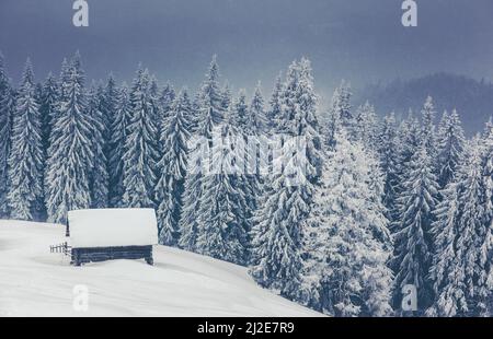 Ländliche Landschaft mit Blick auf den alten Bauernhof. Dramatische winterliche Szene. Karpaten, Ukraine, Europa. Beauty-Welt. Frohes Neues Jahr! Stockfoto