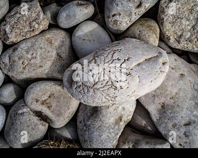 Zufällige Muster in der Natur, kleine Strandkiesel an der Costa Blanca Küste, Spanien Stockfoto