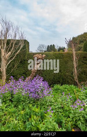 Erster Tag der offenen Tür am 2022. März, 29.. März, in den Great Dixter Gardens an einem trüben, kühlen Tag, erhellen die Farben den Tag, East Sussex Stockfoto