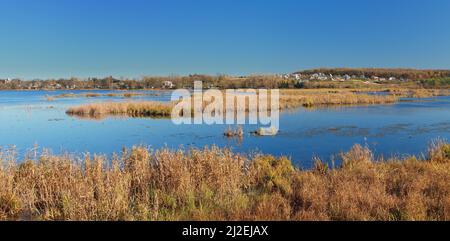Schöne Morgenlandschaft mit dem Fluss Stockfoto