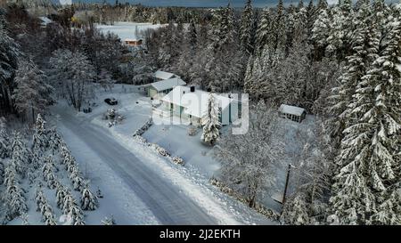 Luftaufnahme über einem schneebedeckten Haus inmitten eines frostigen Waldes Stockfoto