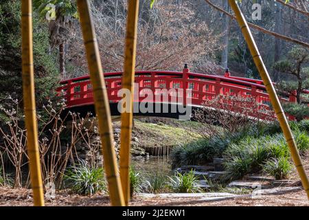 Die Meyer Bridge, eine Bogenbrücke im japanischen Stil im Culberson Asiatic Arboretum in den Sarah P. Duke Gardens in Durham, North Carolina. Stockfoto