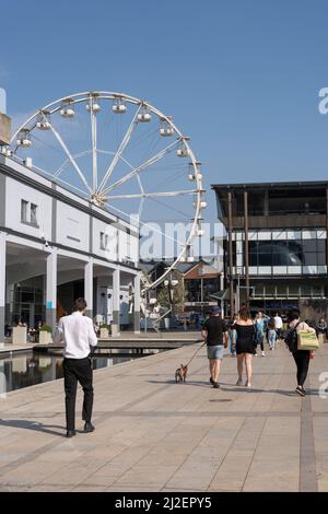 Blick auf den Millennium Square, Bristol, Großbritannien, mit Menschen und mit dem Bristol Wheel im Hintergrund. Stockfoto