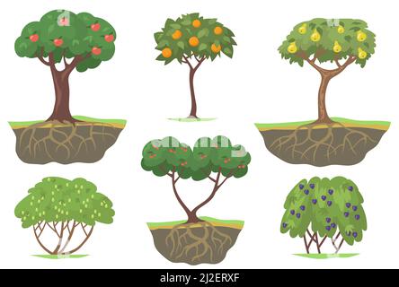 Grüne Obstbäume und Beerensträucher flaches Set für Webdesign. Cartoon reife Äpfel, Orangen, Pfirsiche und Brombeere isoliert Vektor-Illustration collecti Stock Vektor