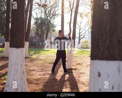 Der ältere Mann übt in einem Park mit Bäumen die Kampfkunst Stockfoto