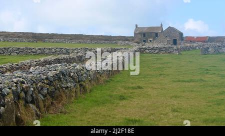 Verkommen Bauernhaus in der Nähe der alten Steine von Men an Tol, Cornwall aus dem öffentlichen Fußweg Stockfoto