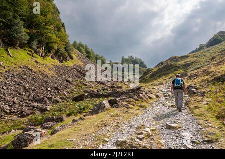 Ein männlicher Wanderer geht auf dem rauen Weg durch die Jaws of Borrowdale in Richtung Castle Crag im Lake District, Cumbria, England. Die s Stockfoto