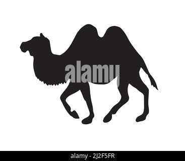 Vektor flach schwarz baktrien zwei bucked Kamel Silhouette isoliert auf weißem Hintergrund Stock Vektor