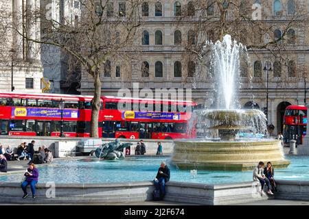 Menschenmengen, die an einem der Brunnen am Trafalgar Square mit roten Londoner Bussen im Hintergrund an einem sonnigen Frühlingstag im Zentrum von London, England, sitzen Stockfoto