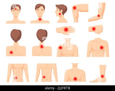 Fokus der Schmerzen eingestellt. Teile des menschlichen Körpers mit rotem Fleck, Schmerzen in Muskeln oder Gelenken. Vektor-Illustration für Entzündung, chronische Krankheit, Schmerzmittel, HE Stock Vektor