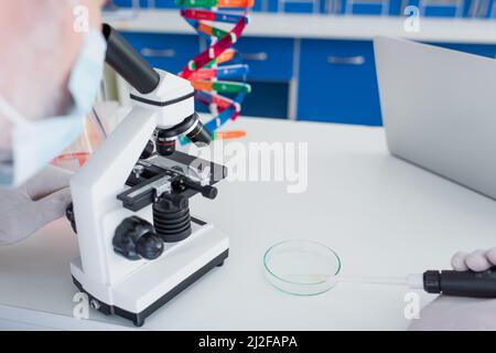 Teilansicht eines unscharfen Genetikers, der die Mikropipette in der Nähe der Petrischale hält, während er mit dem Mikroskop arbeitet, Stockbild Stockfoto