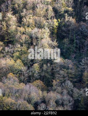 Gedämpfte Farben im Spätherbst im Geopark Courel Mountains in Galicien Stockfoto